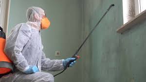 Why You Should Choose Our Mold Remediation Services in Carrington, ND